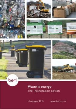 Waste to energy The incineration option - Hōngongoi 2019 www.berl.co.nz