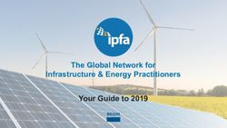 The Global Network for Infrastructure & Energy Practitioners Your Guide to 2019 - IPFA