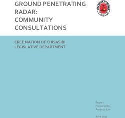 GROUND PENETRATING RADAR: COMMUNITY CONSULTATIONS - CREE NATION OF CHISASIBI LEGISLATIVE DEPARTMENT