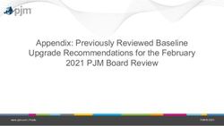 Appendix: Previously Reviewed Baseline Upgrade Recommendations for the February 2021 PJM Board Review - PJM 2021