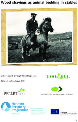 Wood shavings as animal bedding in stables - Loftur Jonsson & Christoph Wöll at Skograd ehf. Egilsstadir Iceland, August 2008