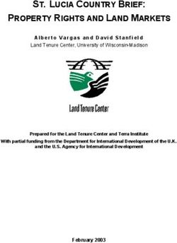 ST. LUCIA COUNTRY BRIEF: PROPERTY RIGHTS AND LAND MARKETS