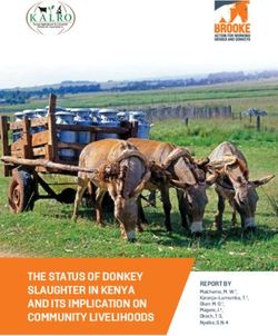 THE STATUS OF DONKEY SLAUGHTER IN KENYA AND ITS IMPLICATION ON COMMUNITY LIVELIHOODS - REPORT BY