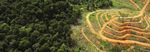 Running the Risk HOW CORPORATE BOARDS CAN OVERSEE ENVIRONMENTAL, SOCIAL AND GOVERNANCE (ESG) ISSUES - Ceres