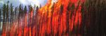 Running the Risk HOW CORPORATE BOARDS CAN OVERSEE ENVIRONMENTAL, SOCIAL AND GOVERNANCE (ESG) ISSUES - Ceres