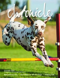 Summer 2021 Rats Driving Cars Alert Tasks for Service Dogs Finding Fido The Association of Professional Dog Trainers