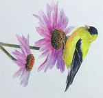 York Adult Education - We can help with that!