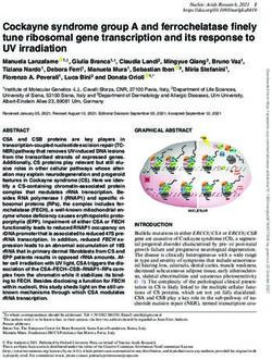 Cockayne syndrome group A and ferrochelatase finely tune ribosomal gene transcription and its response to UV irradiation - Oxford Academic Journals