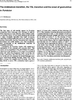 The midblastula transition, the YSL transition and the onset of gastrulation in Fundulus
