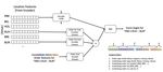 HUMAN-LEVEL PERFORMANCE IN NO-PRESS DIPLOMACY VIA EQUILIBRIUM SEARCH