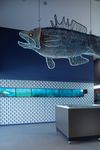 Les Wilson Barramundi Discovery Centre