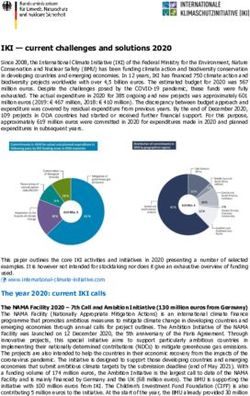 IKI - current challenges and solutions 2020
