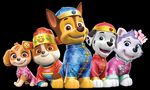 NEW YORK TOY FAIR ANALYST AND INVESTOR PRESENTATION - FEBRUARY 2019 - Spin Master