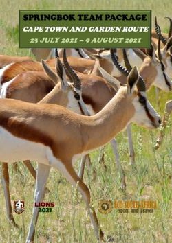 SPRINGBOK TEAM PACKAGE - CAPE TOWN AND GARDEN ROUTE 23 JULY 2021 - 9 AUGUST 2021 - Lions 2021