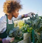 Accelerating FFAR Research & Impact - 2020 IMPACT REPORT