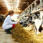 Accelerating FFAR Research & Impact - 2020 IMPACT REPORT