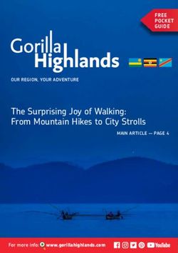 The Surprising Joy of Walking: From Mountain Hikes to City Strolls - FREE POCKET GUIDE