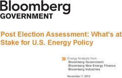 Post Election Assessment: What's at Stake for U.S. Energy Policy - Energy Analysts from: Bloomberg Government Bloomberg New Energy Finance ...