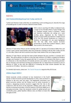 Joint Technical Working Group From Turkey and the US