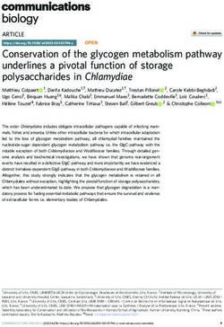 Conservation of the glycogen metabolism pathway underlines a pivotal function of storage polysaccharides in Chlamydiae - Nature