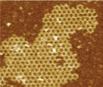 Design of biologically active binary protein 2D materials