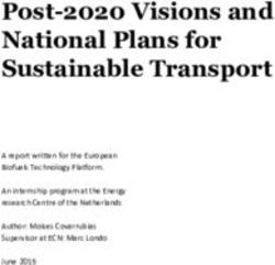 Post-2020 Visions and National Plans for Sustainable Transport