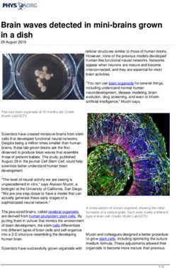 Brain waves detected in mini-brains grown in a dish - Phys.org