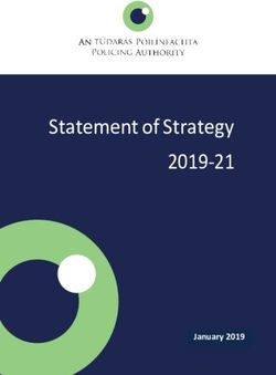 Statement of Strategy 2019-21 - January 2019 - Policing Authority