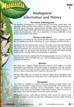 Madagascar Information and History