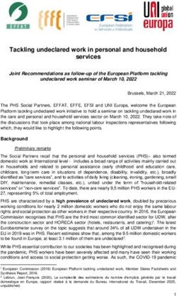 Tackling undeclared work in personal and household services
