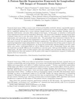 A Patient-Specific Segmentation Framework for Longitudinal MR Images of Traumatic Brain Injury