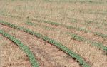 Soil Properties & Functions Related to Irrigation - Natural Resources Conservation Service