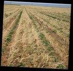 Soil Properties & Functions Related to Irrigation - Natural Resources Conservation Service
