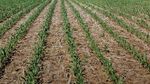 Soil Properties & Functions Related to Irrigation - Natural Resources Conservation Service