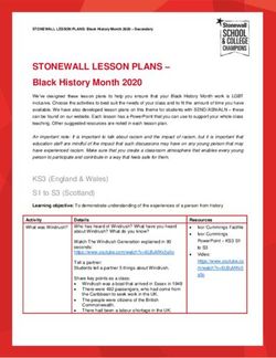 STONEWALL LESSON PLANS-Black History Month 2020
