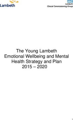 The Young Lambeth Emotional Wellbeing and Mental Health Strategy and Plan 2015 2020