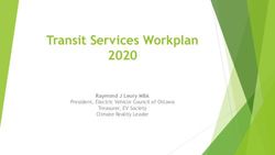 Transit Services Workplan 2020 - Raymond J Leury MBA President, Electric Vehicle Council of Ottawa
