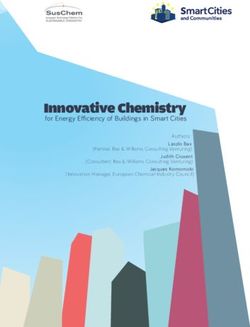 Innovative Chemistry for Energy E ciency of Buildings in Smart Cities - Cefic
