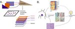Community-wide hackathons to identify central themes in single-cell multi-omics - Genome Biology