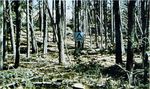 Aids to Determining Fuel Models For Estimating Fire Behavior - Hal E. Anderson