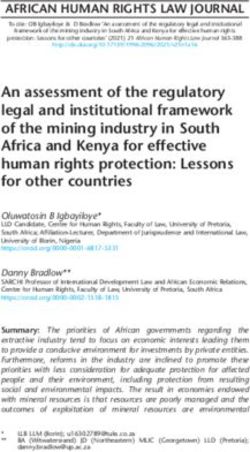 An assessment of the regulatory legal and institutional framework of the mining industry in South Africa and Kenya for effective human rights ...