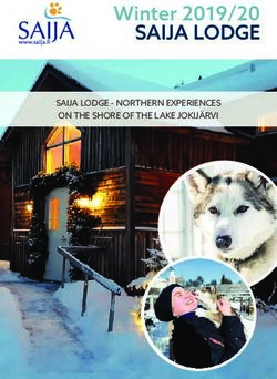 SAIJA LODGE Winter 2019/20 - SAIJA LODGE - NORTHERN EXPERIENCES ON THE SHORE OF THE LAKE JOKIJ&Auml;RVI