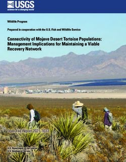Connectivity of Mojave Desert Tortoise Populations: Management Implications for Maintaining a Viable Recovery Network