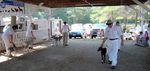Ossipee Valley Fair Dairy Goat Show
