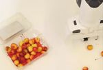 CLIPORT: What and Where Pathways for Robotic Manipulation