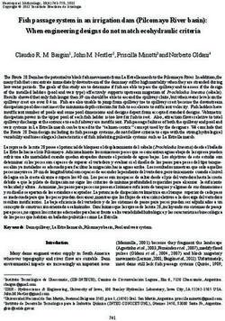 Fish passage system in an irrigation dam (Pilcomayo River basin): When engineering designs do not match ecohydraulic criteria