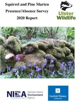 Squirrel and Pine Marten Presence/Absence Survey 2020 Report