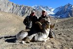 MARCO POLO HUNTING IN KYRGYZSTAN - Asian Mountain Outfitters 2020/2021 Price and Hunt Information - Asian Mountain ...