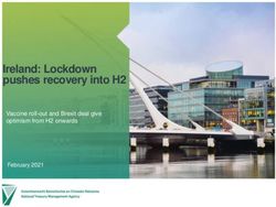 Ireland: Lockdown pushes recovery into H2 - Vaccine roll-out and Brexit deal give optimism from H2 onwards - NTMA
