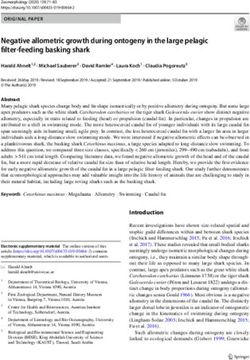 Negative allometric growth during ontogeny in the large pelagic filter feeding basking shark
